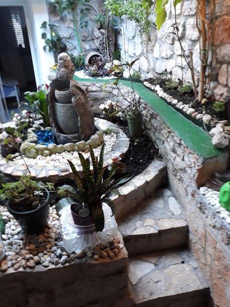 Neda Apartment مورتير المظهر الخارجي الصورة