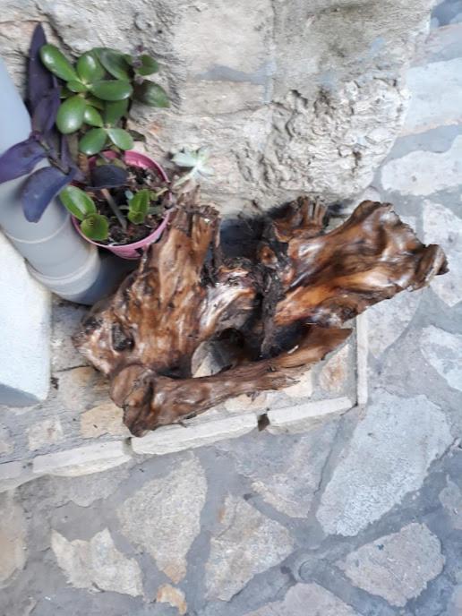 Neda Apartment مورتير المظهر الخارجي الصورة