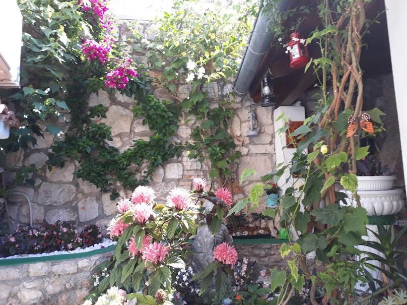 Neda Apartment مورتير المظهر الخارجي الصورة